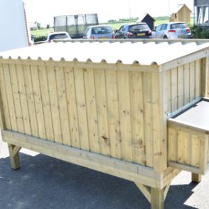 Back of the chicken coop