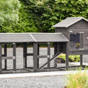 Rabbit Hutch Prestige Medium Black with 2 runs