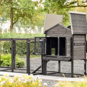 The rabbit hutch Prestige Medium has many doors