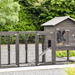 The hutch Prestige Medium Black offers a lot of place for your rabbits
