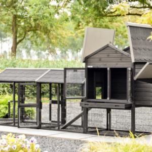 The laying nest of chickencoop Prestige Medium Black has a hinged roof