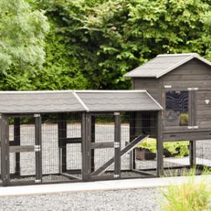 The chickencoop Prestige Medium Black is extended with 2 runs Space Medium