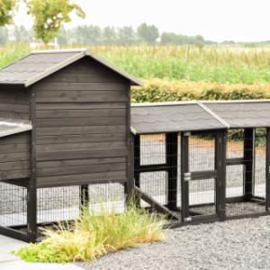 Have a look on the backside of chickencoop Prestige Medium Black