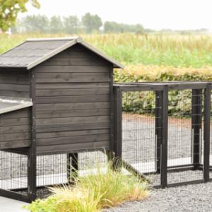 Take a look at the back of the Prestige Medium with run and nesting box