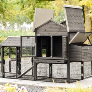The hen house Prestige Medium has many doors and hatches for easy cleaning