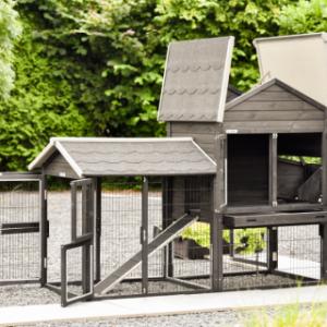 The hen house Prestige Medium has many doors and hatches for easy cleaning