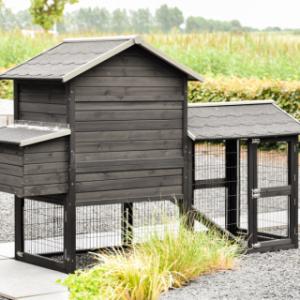 Take a look at the back of the Prestige Medium with run and nesting box