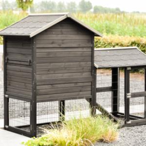 Take a look at the back of the Prestige Medium chicken coop with run in Black