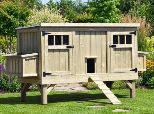 Chicken Coop Annabel