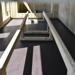 Inside the chicken coop