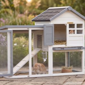 Advance Rabbit Hutch with Covered Run