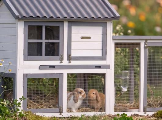 Plexiglass insulation kit · for rabbit hutch Nice with run Advance