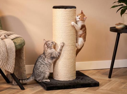 Cat tree Koby 50x50x70cm
