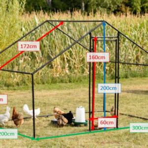 Various dimensions of the animal run Grande