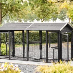 The Space Large cat run has multiple openings