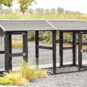 A view of the back of the Space Large Black cat run