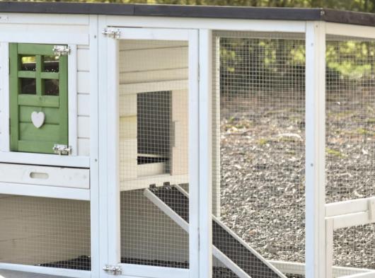 Plexiglass insulation kit · for rabbit hutch  Noah