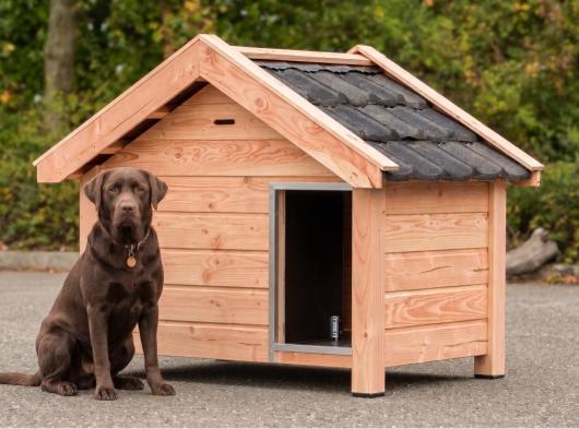 Dog house Reno made of douglas wood 160x106x123cm