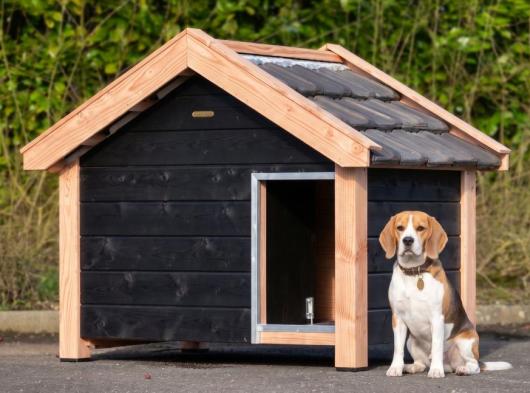 Dog house Reno black/Douglas insulated 160x106x123cm