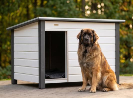 Insulated dog house