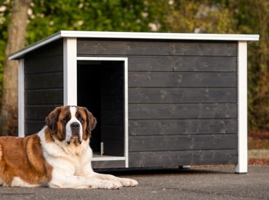 Dog Kennel Loebas Black/White 195x127x122 cm