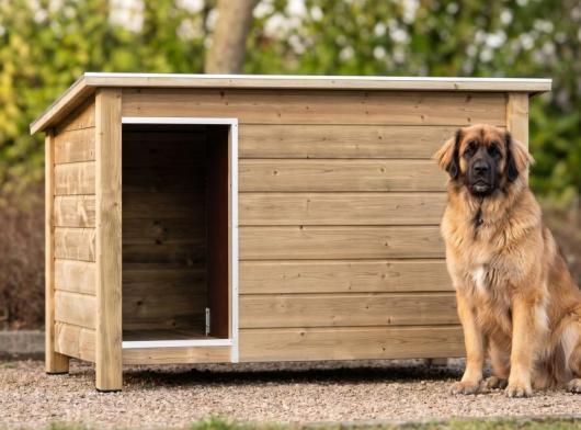 ✓ High pressure treated ✓ doghouse Loebas