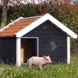 Pigsty Binq