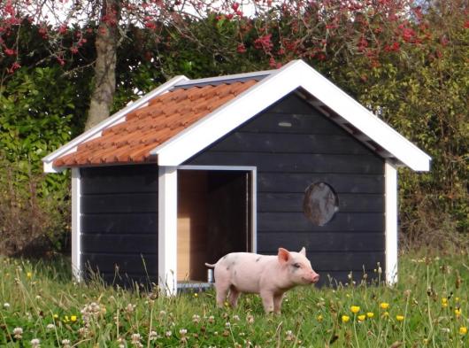 Pigsty Binq