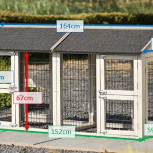 Various dimensions of the cat run Space Small