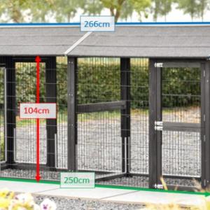 Various dimensions of the cat run Space Large