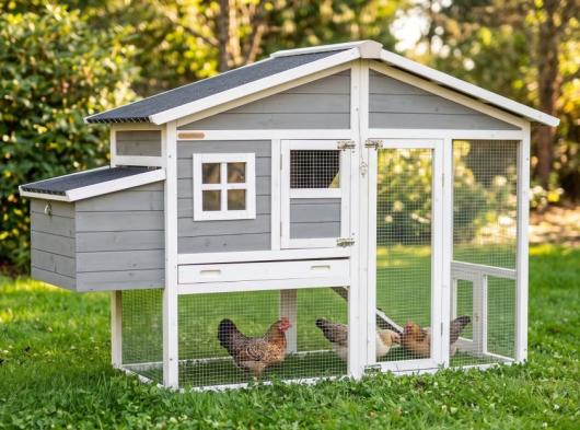 Chickencoop Niels with plastic roof and laying nest 187x72x120cm