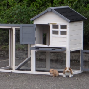 Rabbit hutch Advance will be delivered in white-grey