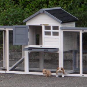 Rabbit hutch Advance | offers a lot of space