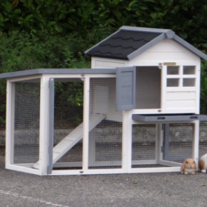The hutch Advance offers a lot of space for your rabbit(s)