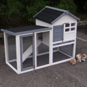 The bunny hutch Advance is a beautiful hutch for in your garden