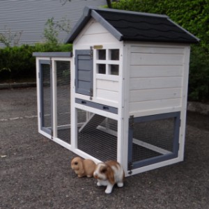 The rabbit hutch advance will be delivered in the shown colours