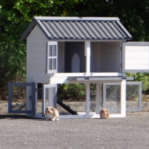 The rabbit hutch Nice has many doors