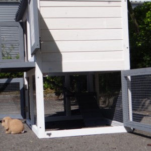 The rabbit hutch Nice offers a lot of space for your rabbits
