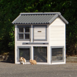 The wooden hutch Nice is suitable for 1 till 2 rabbits