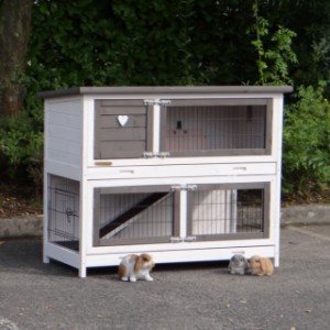 The rabbit hutch Adrian is suitable for 2 rabbits