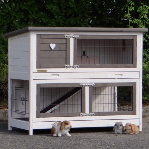 Rabbit hutch Adrian with chewprotection and insulation kit