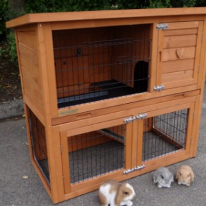 The rabbit hutch Basic is a little hutch for outdoor use