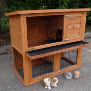 The rabbit hutch Basic is easy to clean because of the practical tray