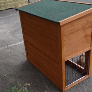 Have a look on the backside of guinea pig hutch Basic