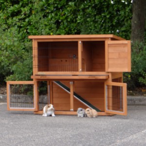 The guinea pig hutch Basic has many door openings
