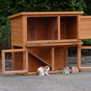 The guinea pig hutch Basic has many large doors