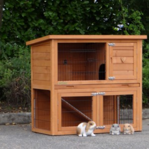 The guinea pig hutch Basic is also suitable for rabbits