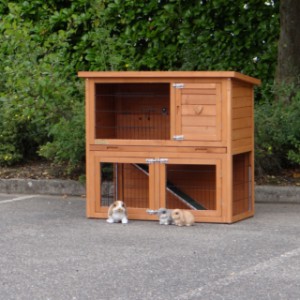 The guinea pig hutch Basic is an acquisition for your yard