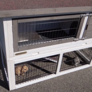 Rabbit hutch Marianne with chewprotection and insulation kit | offers a lot of space