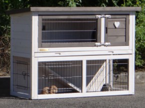 Rabbit hutch with protection